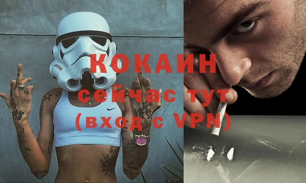 apvp Ельня