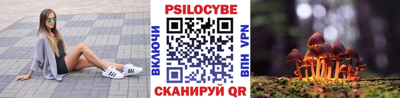 Псилоцибиновые грибы GOLDEN TEACHER Сенгилей