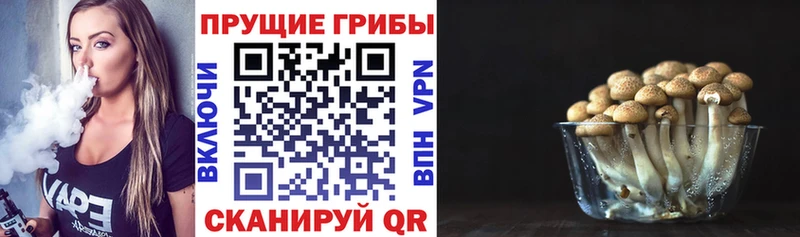 Псилоцибиновые грибы мухоморы  Сенгилей 