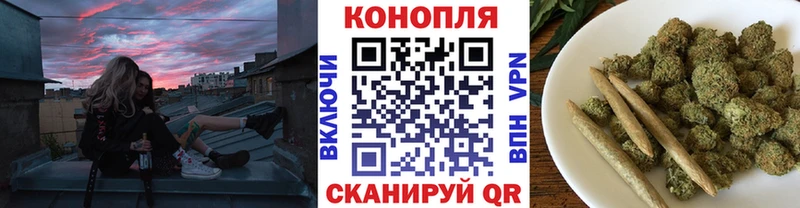 ОМГ ОМГ   Сенгилей  Бошки Шишки планчик 